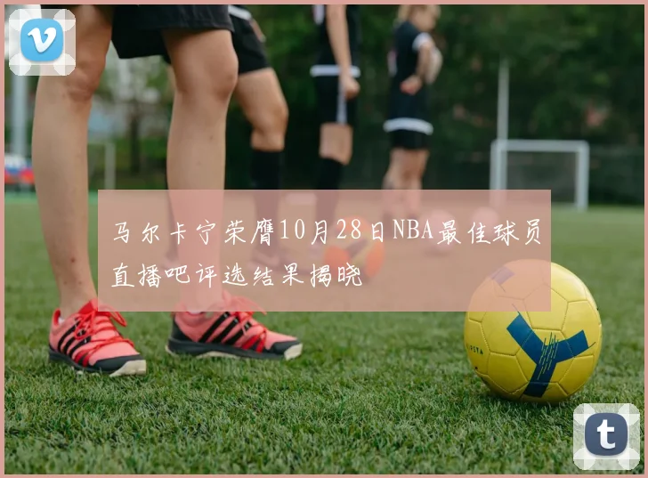 马尔卡宁荣膺10月28日NBA最佳球员直播吧评选结果揭晓