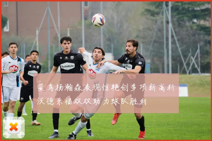 菜鸟杨瀚森表现惊艳创多项新高科沃德乐福双双助力球队胜利