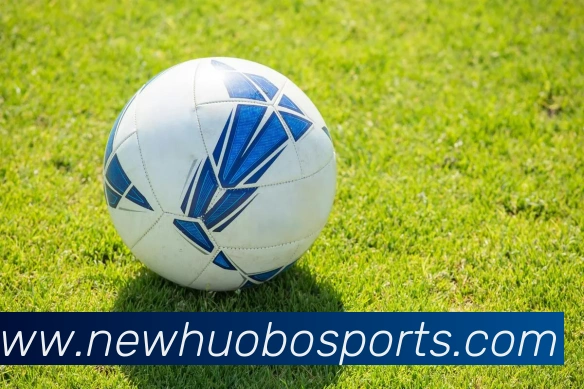 火博体育平台生态图